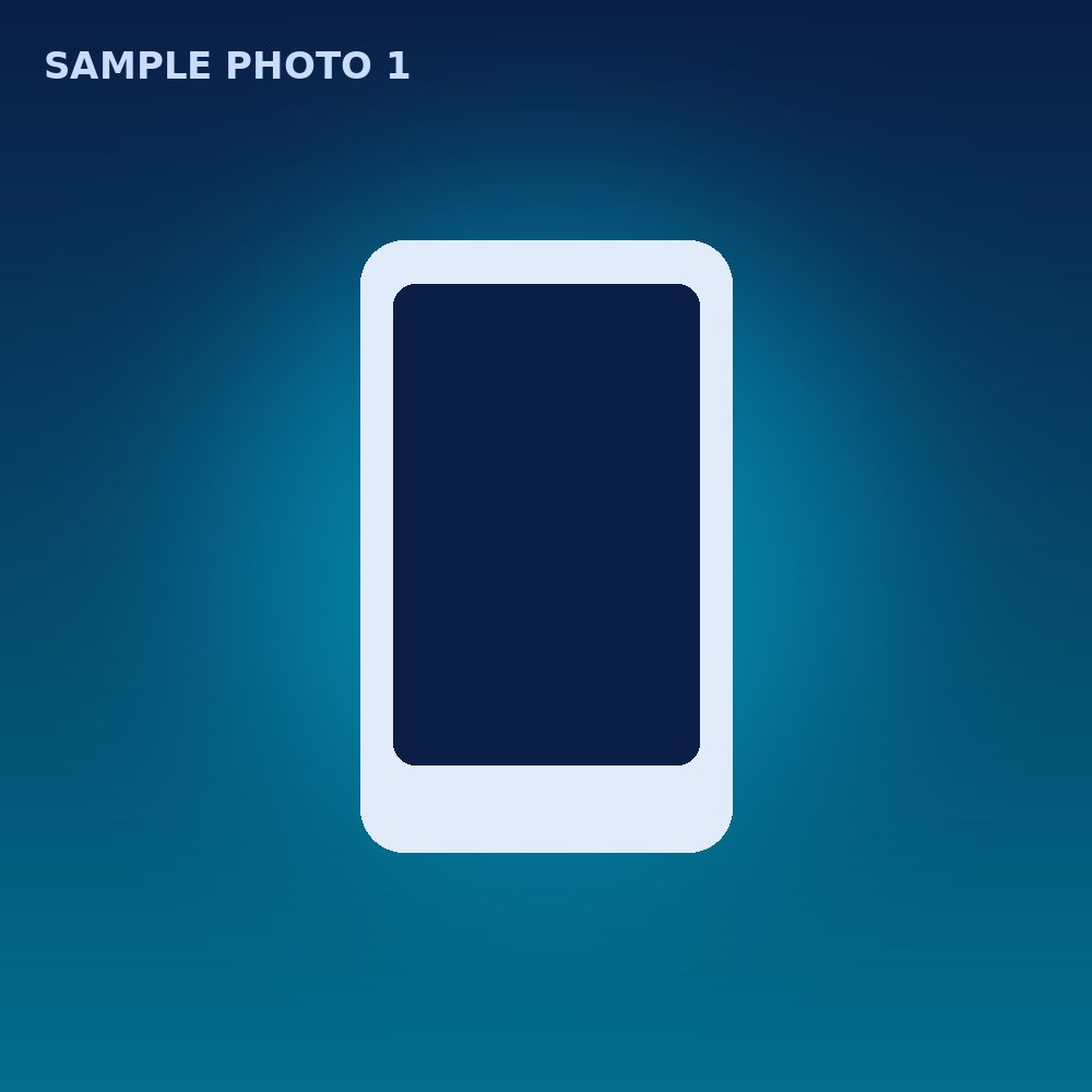 Sample: Slim Organizer Case
